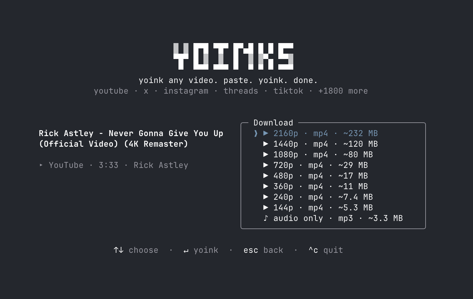 The yoinks format picker: the resolved video title and source on the left, and a framed “Download” list on the right showing 2160p through 144p as mp4 with estimated sizes, plus an audio-only mp3 row.